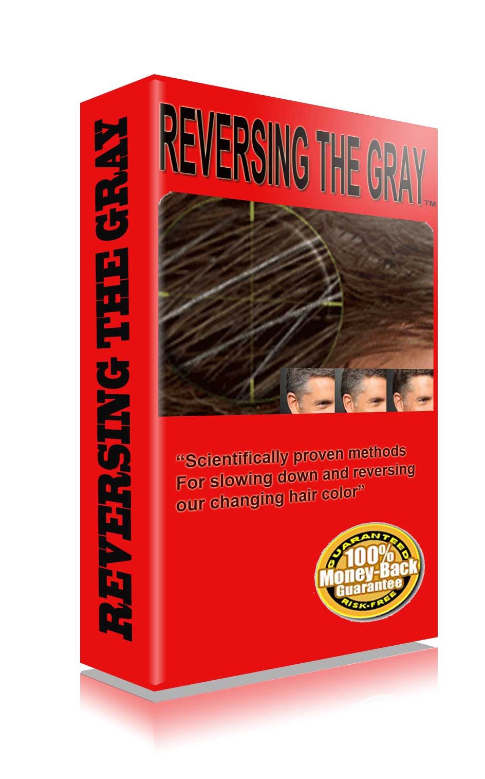 reversingthegray